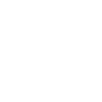 icon_li copy